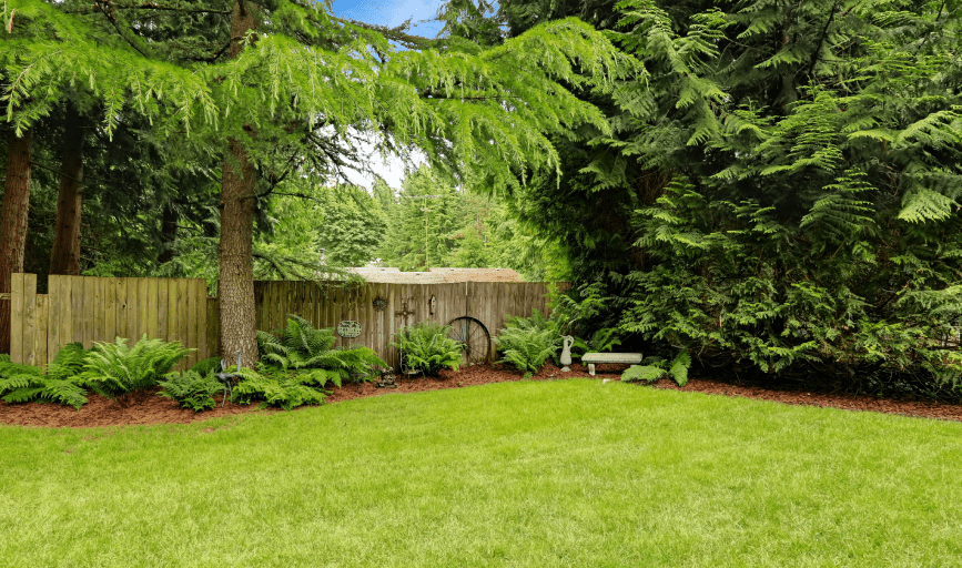 Lawn Care